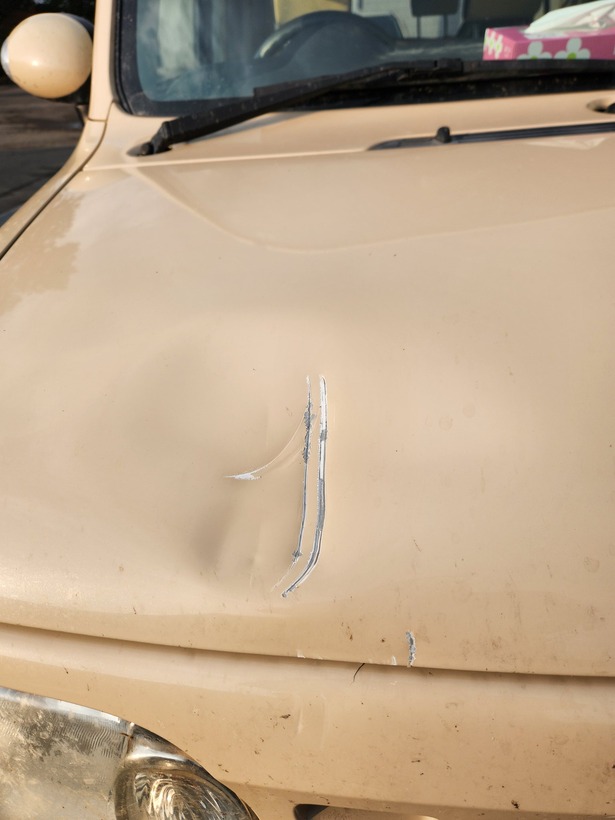 【動画】クマさん、軽自動車に襲いかかるがシャレにならないwwwwwww